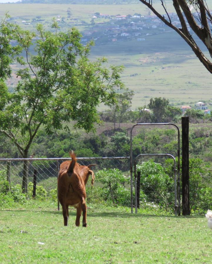 Misty View Farm Stay Layitemeni 外观 照片