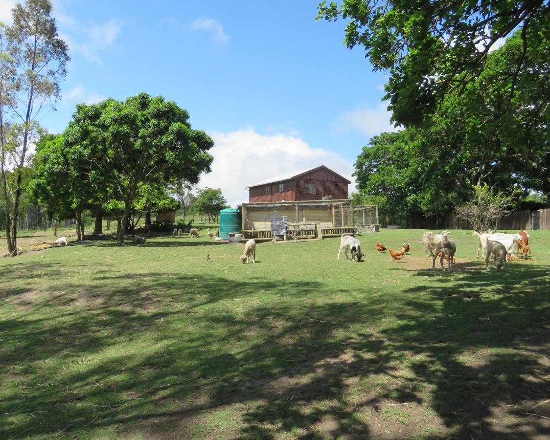 Misty View Farm Stay Layitemeni 外观 照片