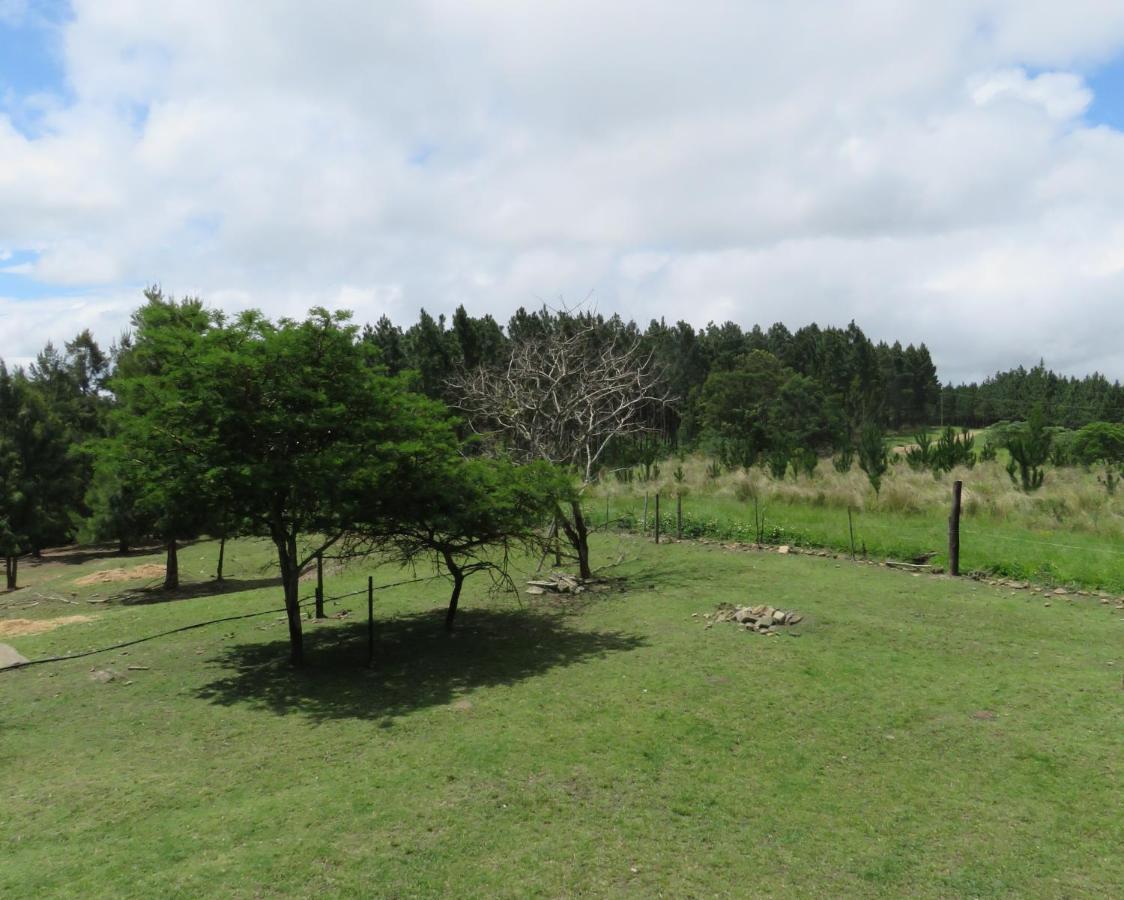 Misty View Farm Stay Layitemeni 外观 照片