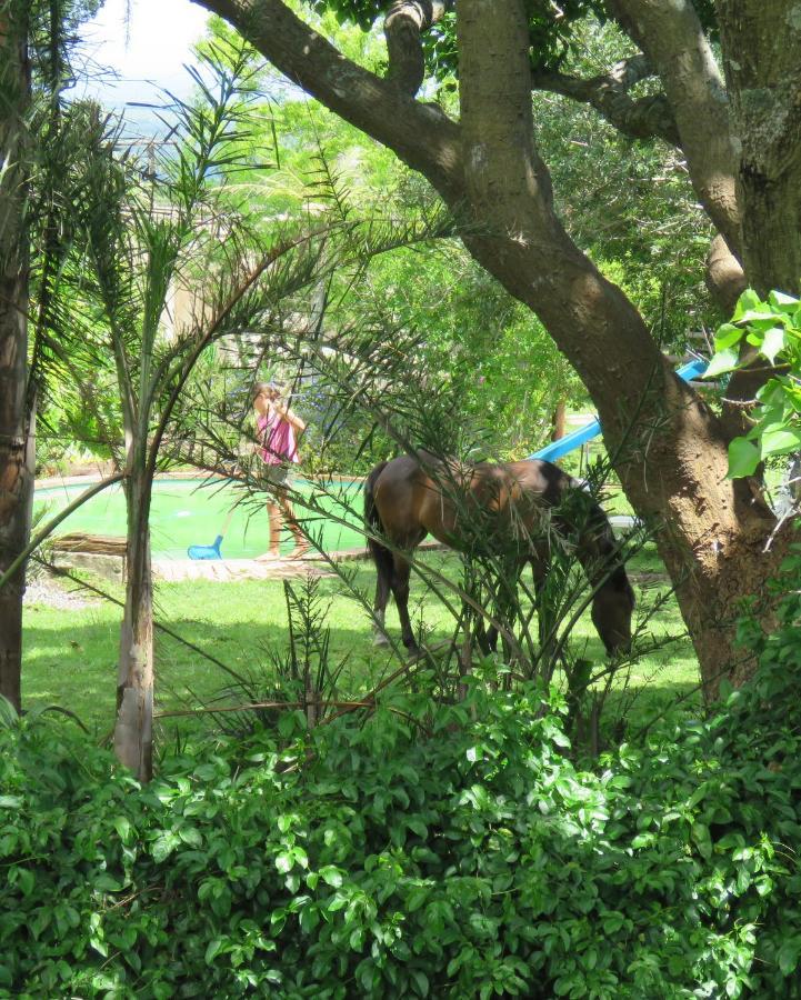 Misty View Farm Stay Layitemeni 外观 照片