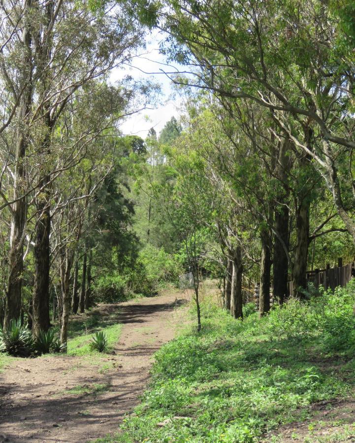 Misty View Farm Stay Layitemeni 外观 照片